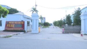 Mediamoitruongnetvn 2021 02 febecom 9856 7720