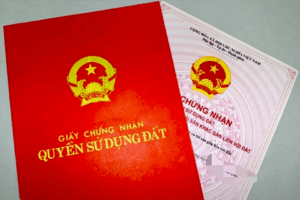 Img8603 17244060239581788078783